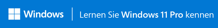 Lernen Sie Windows 11 Pro kennen im neuen Fenster öffnen 